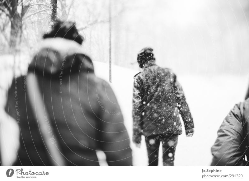 coldest Spaziergang Winter Jahreszeiten Wetter Schneesturm Schneefall Erwachsene Rückansicht Mantel Mütze gehen laufen kalt trist lensbaby Schwarzweißfoto