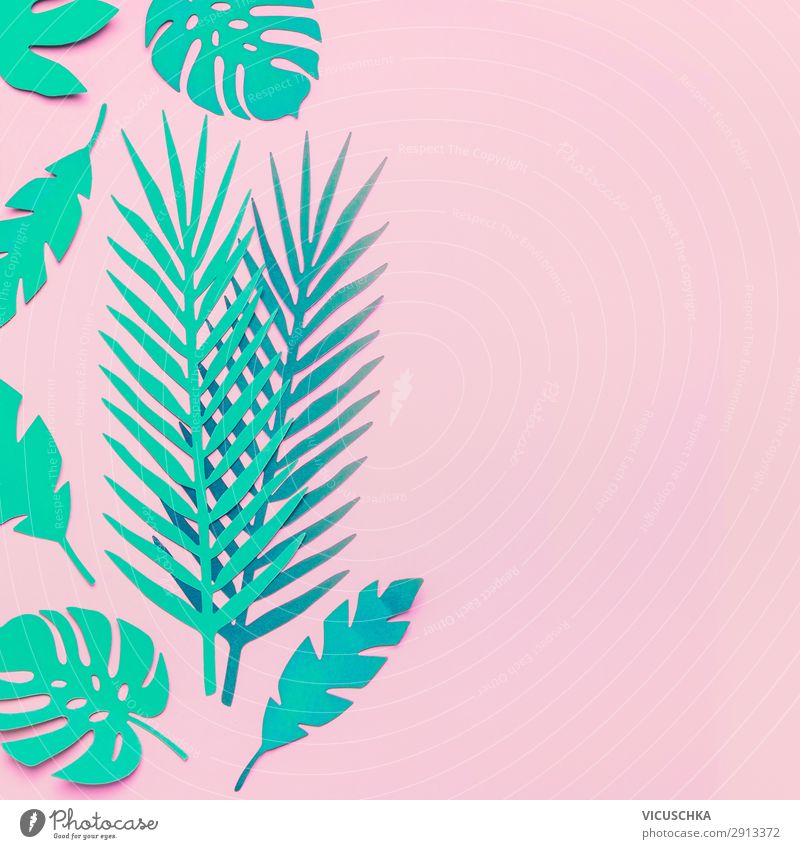 Türkisgrüne tropische Blätter auf rosa Hintergrund Stil Design Sommer Natur Pflanze Blatt Mode Dekoration & Verzierung Surrealismus Hintergrundbild flippig