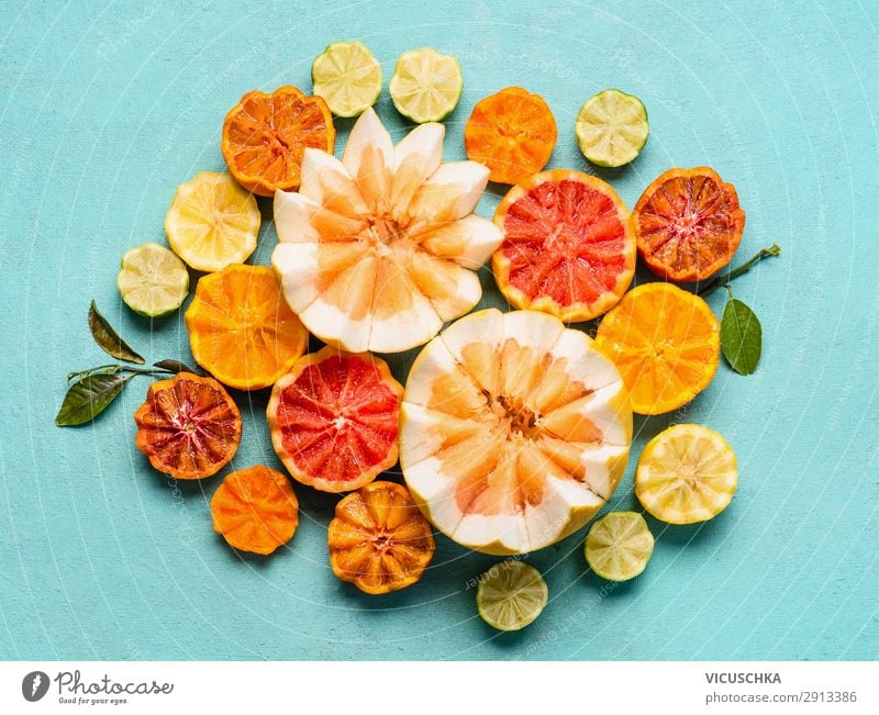 Verschiedene Zitrusfrüchte auf hellblauem Hintergrund Lebensmittel Frucht Orange Ernährung Bioprodukte kaufen Stil Design Gesundheit Gesunde Ernährung gelb