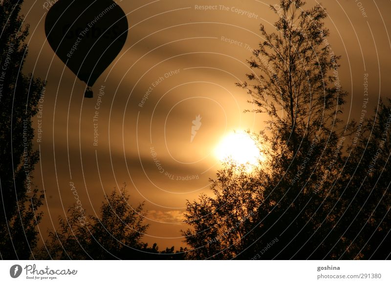 silhouette Natur Landschaft Himmel Sommer Schönes Wetter Baum Garten Feld Ballone Ferien & Urlaub & Reisen frei schön Wärme Zufriedenheit Warmherzigkeit ruhig