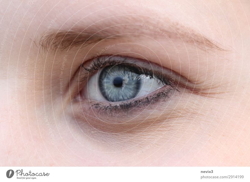 Blaues Auge Mensch feminin Junge Frau Jugendliche Erwachsene Gesicht 1 13-18 Jahre 18-30 Jahre blau Körperpflege Schönheitssalon Augenbraue intensiv geschminkt