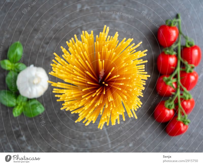 Draufsicht auf Spaghetti mit Tomaten Lebensmittel Gemüse Teigwaren Backwaren Knoblauch Ernährung Mittagessen Bioprodukte Vegetarische Ernährung