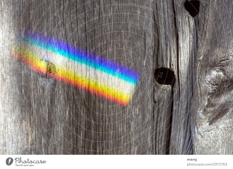 Regenbogen an alter Holzwand Maserung Astloch regenbogenfarben leuchten authentisch Kitsch mehrfarbig seltsam Holzbrett Patina abgelebt vergangen Farbfoto