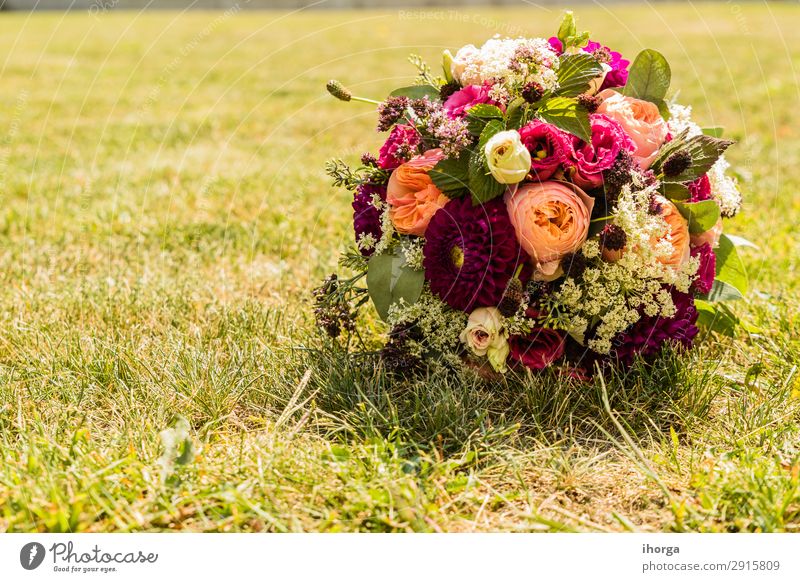 Brautstrauß am Tag der Hochzeit elegant Design schön Dekoration & Verzierung Feste & Feiern Valentinstag Muttertag Paar Partner Natur Pflanze Blume Rose Blüte