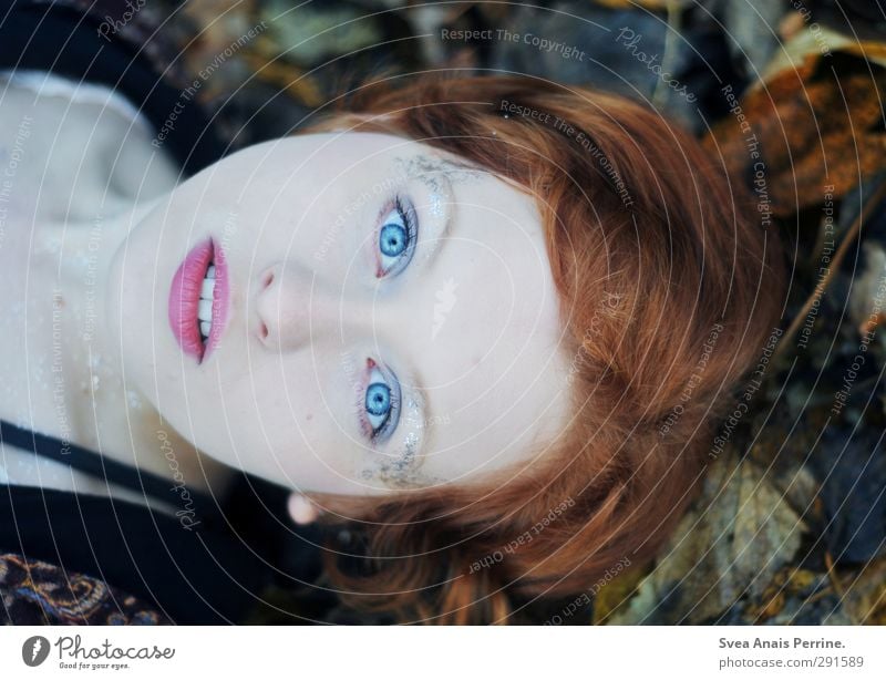 Herbst Blau. feminin Junge Frau Jugendliche Kopf Haare & Frisuren Gesicht Mund Lippen 1 Mensch 13-18 Jahre Kind Umwelt Natur Blatt Außenaufnahme rothaarig