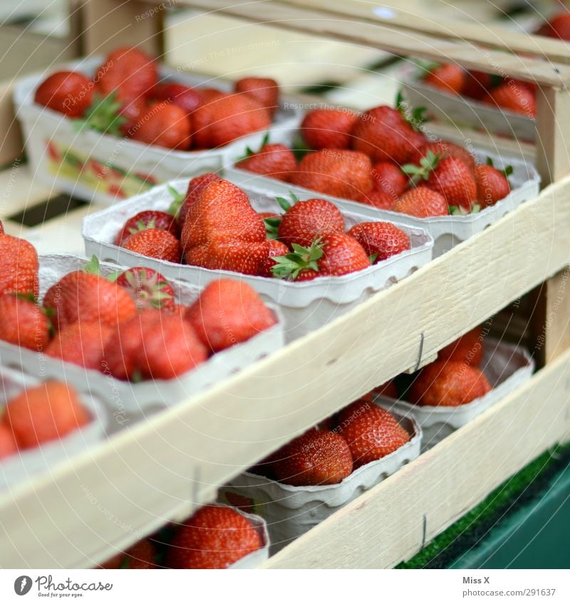 Sommer Lebensmittel Frucht Ernährung Bioprodukte Vegetarische Ernährung frisch Gesundheit lecker saftig süß rot Erdbeeren Beeren Obstladen Obstkiste Farbfoto