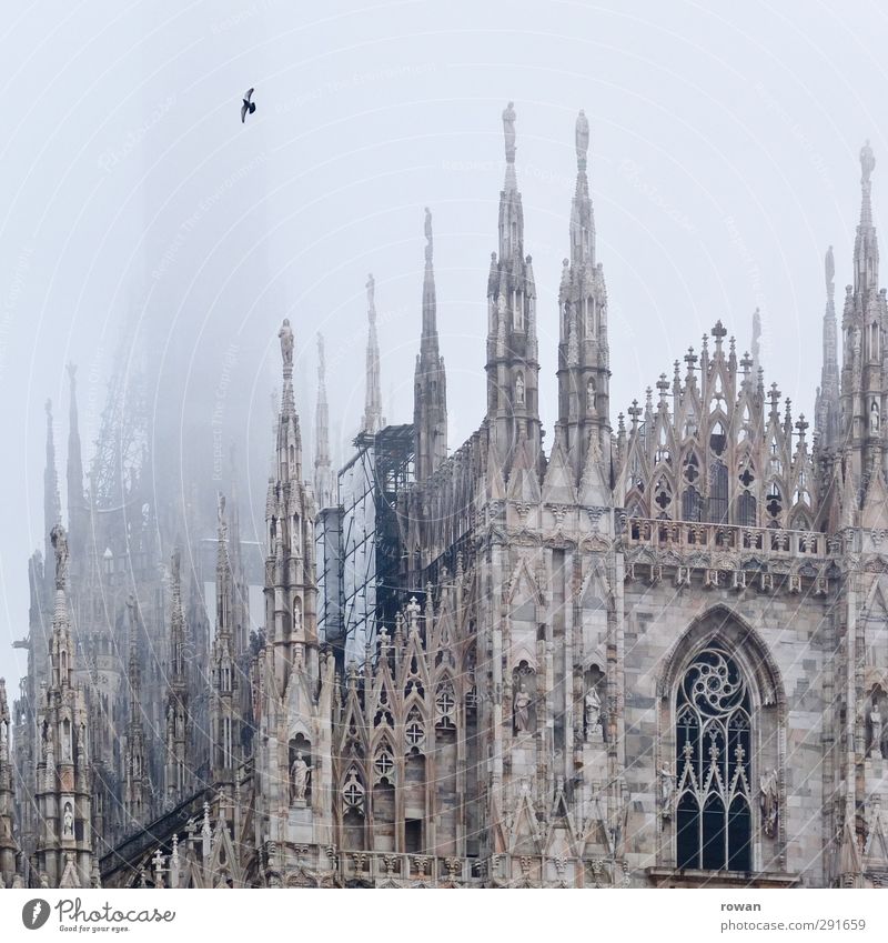 Domvogel Kirche Bauwerk Gebäude Architektur Fassade Sehenswürdigkeit Wahrzeichen Vogel außergewöhnlich dunkel gruselig trist Kultur Religion & Glaube Mailand