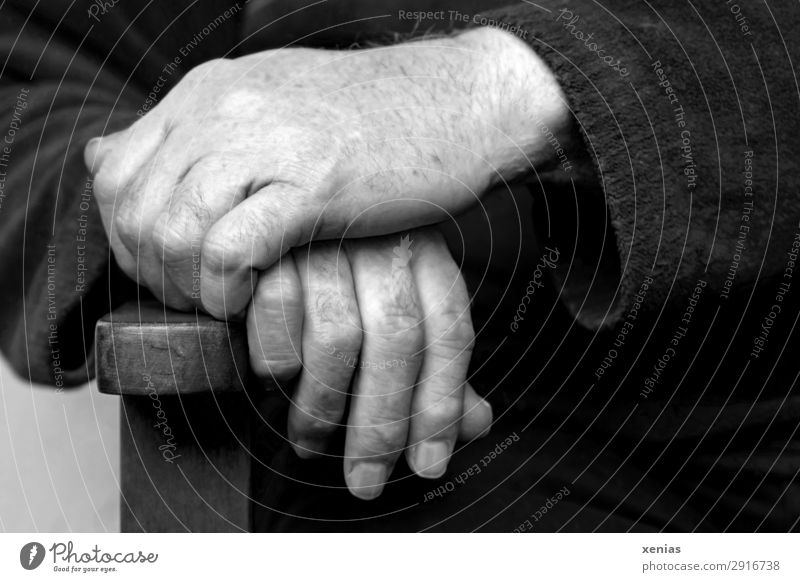 Hände eines Mannes an der Stuhllehne in Schwarz-Weiß maskulin Männlicher Senior Erwachsene Leben Hand Finger Fingernagel 1 Mensch Pullover Ärmel sitzen