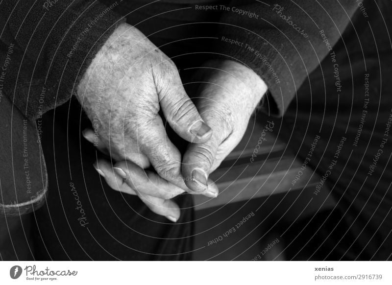 Seniorenhände in Schwarz-Weiß neben Stuhllehne gefaltet Hände Mensch maskulin Mann Erwachsene Männlicher Senior Hand Finger Beine 1 45-60 Jahre 60 und älter