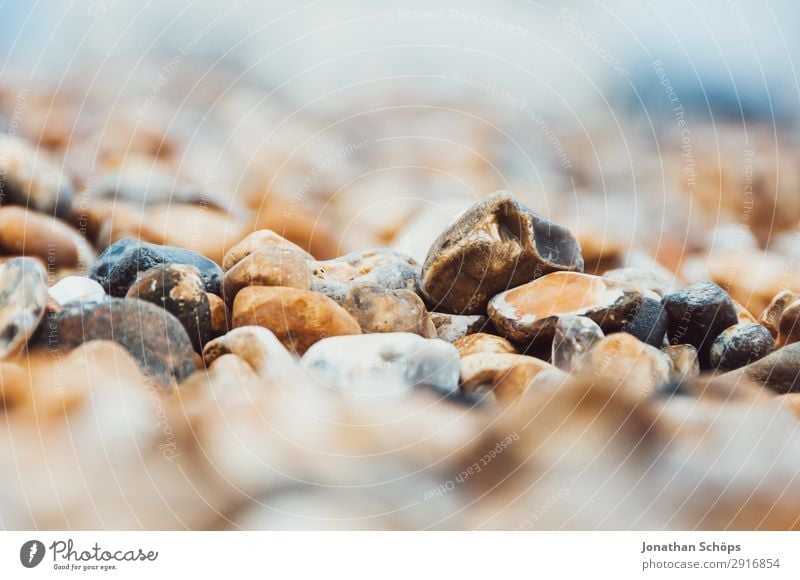 Steine am Strand Nahaufnahme Umwelt Natur Küste Seeufer Flussufer Meer Insel ästhetisch Brighton England Steinstrand Makroaufnahme Kieselstrand Kieselsteine