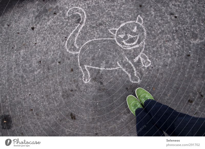 Lösung? Mensch Beine Fuß 1 Strassenmalerei Jeanshose Schuhe Tier Haustier Katze Stein Beton stehen Tierliebe Kreide Zeichnung Asphalt Farbfoto Außenaufnahme Tag