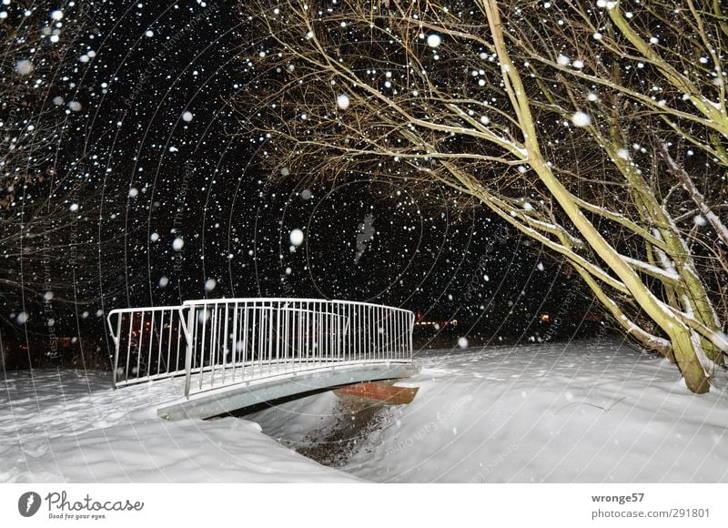 Kleine weiße Brücke Winter Schnee Schneefall Baum Teich Magdeburg Deutschland Sachsen-Anhalt Europa Stadt Stadtrand kalt grün schwarz Brückengeländer