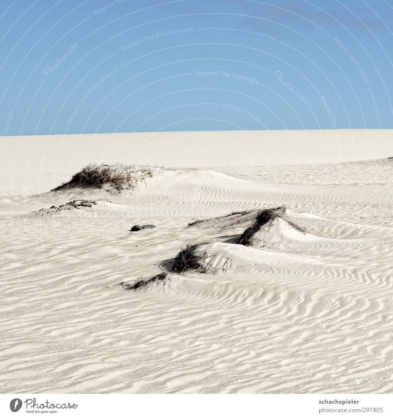 Nix als Sand Umwelt Natur Landschaft Urelemente Erde Himmel Schönes Wetter Dürre Insel Fuerteventura Wüste Düne blau Abenteuer Angst Einsamkeit Endzeitstimmung