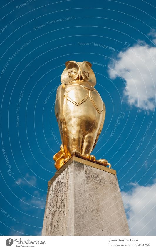goldene Statue einer Eule in Leeds als Stadtsymbol Kunst Kunstwerk Skulptur England Großbritannien Eulenvögel skulptural Blauer Himmel geheimnisvoll Schutz
