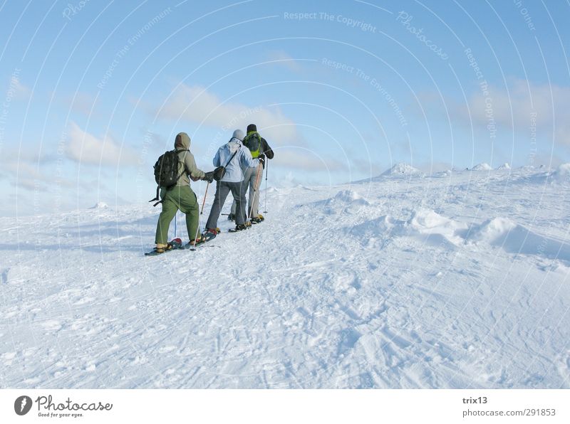Schneeschuhwandern in der finnischen Kälte Ferien & Urlaub & Reisen Ausflug Abenteuer Winter Winterurlaub Mensch 3 Menschengruppe Landschaft Wind Sport
