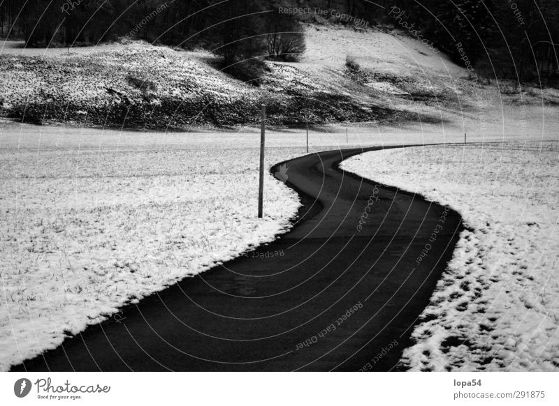 Road Winter Schnee Winterurlaub wandern Umwelt Natur Landschaft Wiese Feld Straße Wege & Pfade frieren kalt schwarz weiß Einsamkeit Ferne Schwarzweißfoto