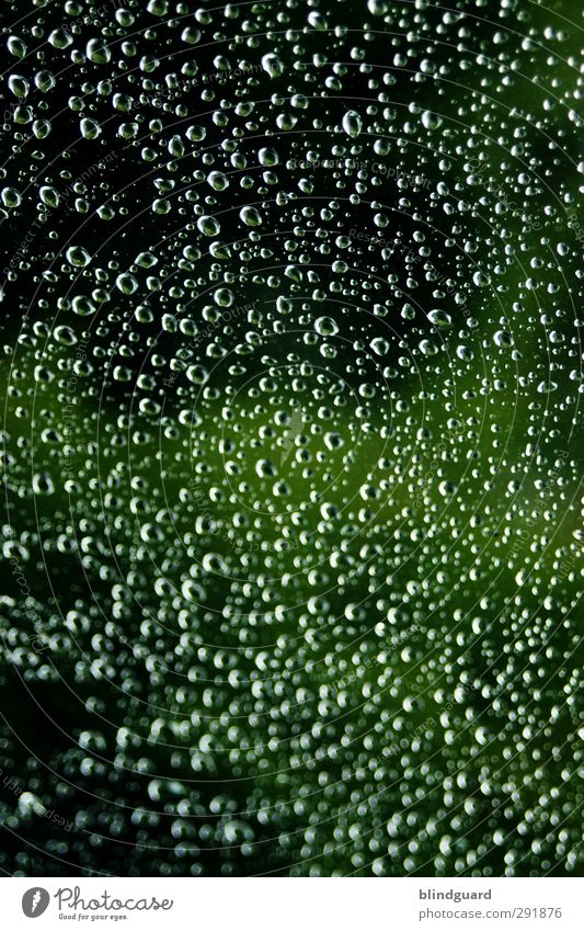 Rhythm Of The Rain Glas Wasser nass grün weiß Tropfen Wassertropfen tropfend Regenwasser Fensterscheibe Farbfoto Innenaufnahme Menschenleer Tag Licht Schatten