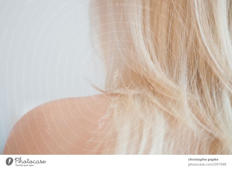 haut und haar schön Körperpflege Haare & Frisuren Haut feminin Frau Erwachsene Rücken blond langhaarig nackt Erotik sensibel Haarspitze nah Farbfoto