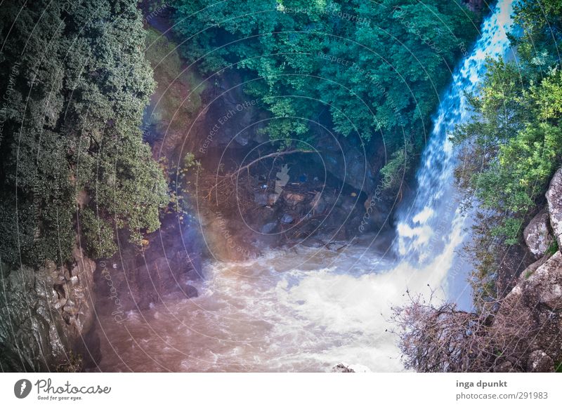 Regenbogenfall Umwelt Natur Landschaft Pflanze Schönes Wetter Baum Felsen Berge u. Gebirge Schlucht Bach Wasserfall Israel Naher und Mittlerer Osten Gefühle