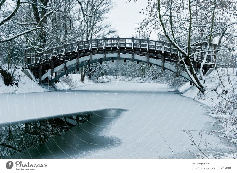 Winter im Stadtpark II Ausflug Schnee Eis Frost Baum Park Seeufer Adolf Mittagsee Magdeburg Deutschland Sachsen-Anhalt Europa Menschenleer Brücke kalt