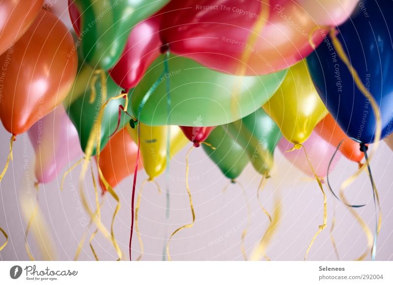 Party Entertainment Veranstaltung Feste & Feiern Karneval Geburtstag Luftballon fliegen hängen Fröhlichkeit viele mehrfarbig Freude Glück Lebensfreude Vorfreude