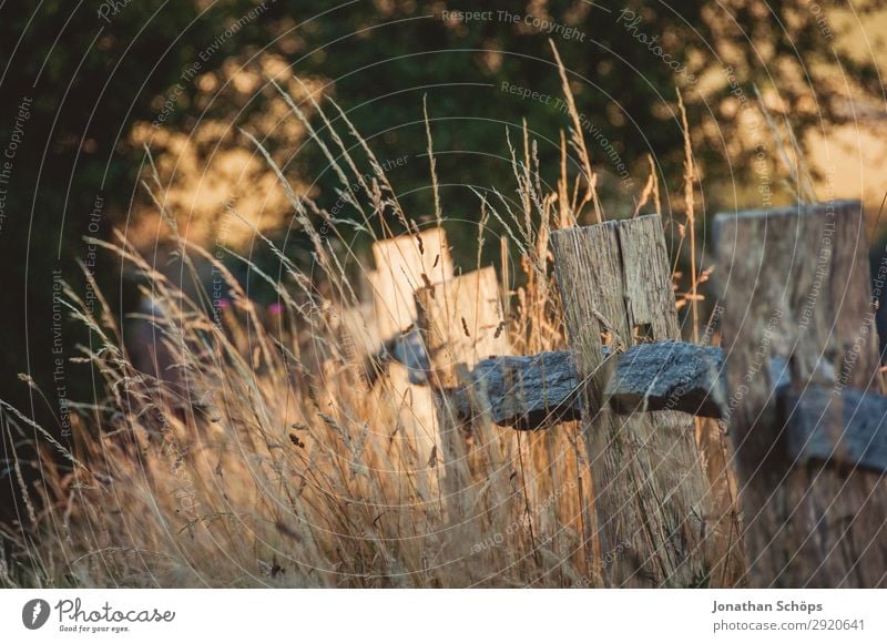 Zaun am Feldrand in der Abendsonne Umwelt Natur Landschaft Pflanze Schönes Wetter Wiese braun England Grenze Großbritannien Pfosten Bauernhof Warme Farbe