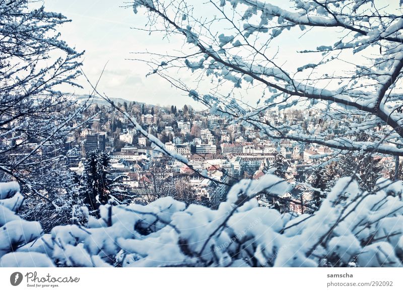 winterlich Umwelt Natur Landschaft Winter Eis Frost Schnee Kleinstadt Stadt Stadtrand Haus kalt Stadtleben St. Gallen Schweiz Winterstimmung Wintertag