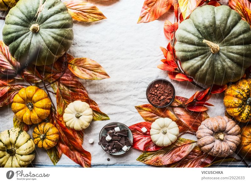 Herbst Hintergrund mit Kürbisse, Schokolade, Nüsse Lebensmittel Stil Design Freude Erntedankfest Halloween Natur Stillleben Hintergrundbild Kürbiszeit