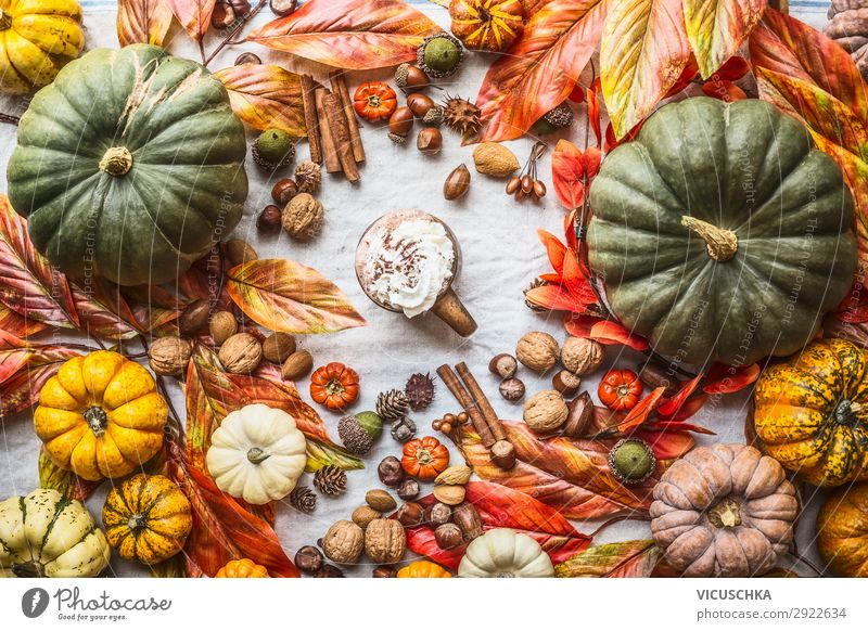 Sortiment bunter Bauernkürbisse mit Becher heißer Schokolade, Nüssen, Gewürzen und Herbstblättern, Draufsicht. Herbstliches Stilleben farbenfroh Bauernhof