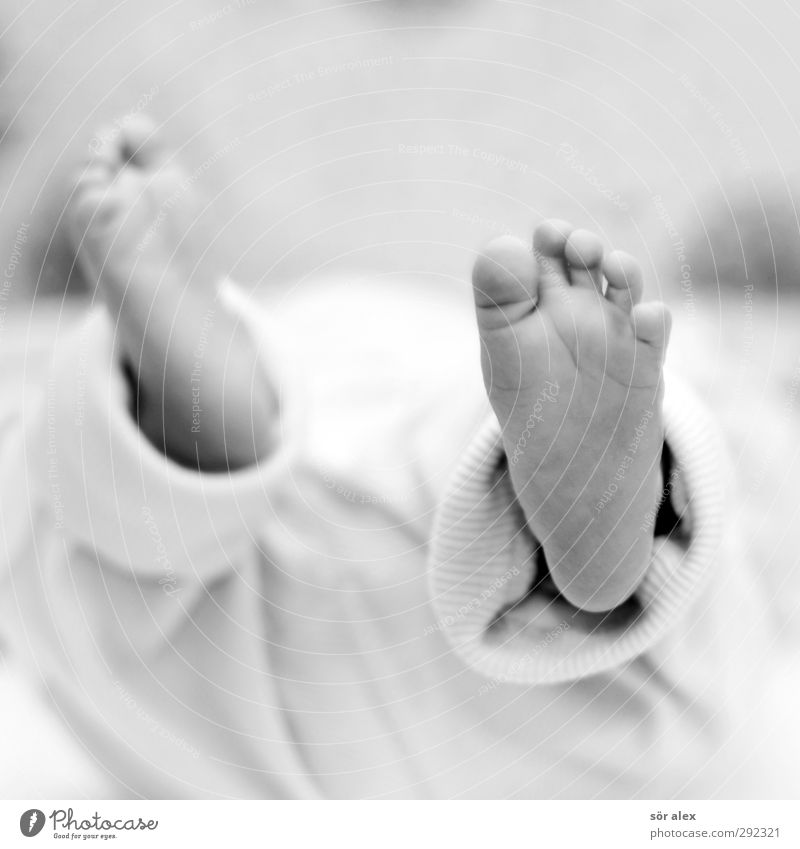 Füße die -noch- nicht gehen Mensch Baby Geschwister Kindheit Leben Fuß Zehen 1 0-12 Monate Gefühle Stimmung Glück Lebensfreude Fürsorge Kindheitserinnerung