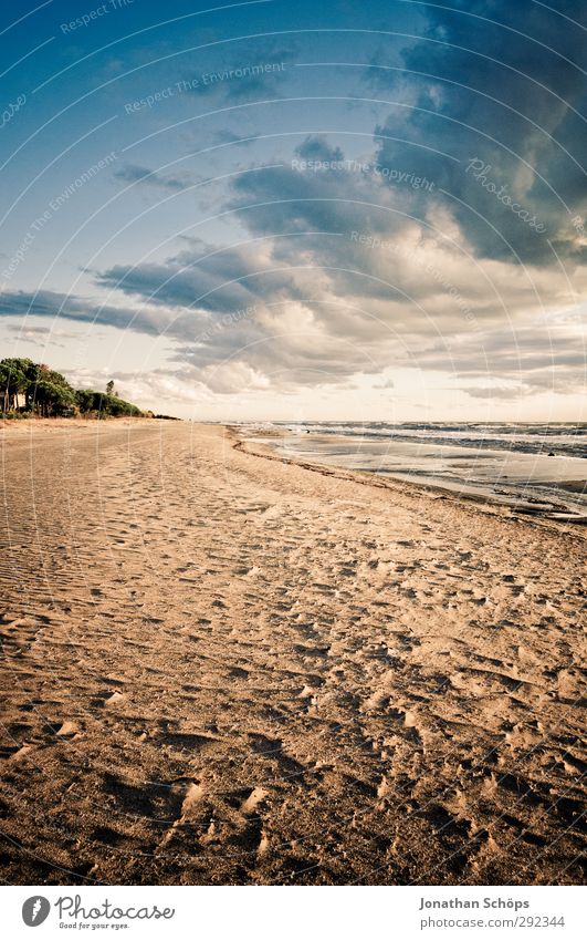 Korsika VII Ferien & Urlaub & Reisen Freiheit Sommer Sommerurlaub Sonnenbad Strand Meer Insel Wellen Umwelt Natur Landschaft Lebensfreude Sandstrand
