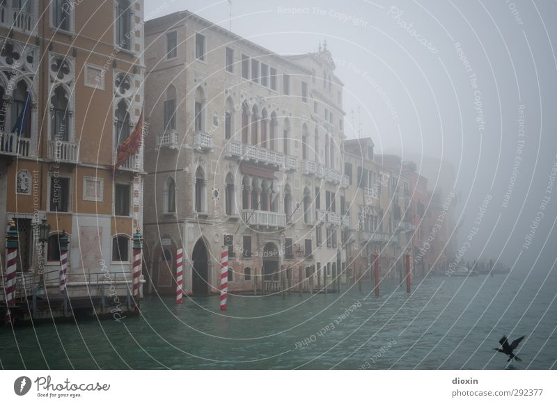 La Serenissima Ferien & Urlaub & Reisen Tourismus Sightseeing Städtereise Winter Wasser Küste Meer Adria Venezianische Lagune Venedig Italien Hafenstadt