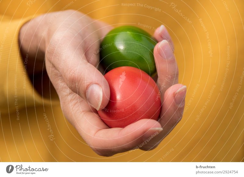 Zwei bunte Eier in der Hand halten Lebensmittel Ernährung Bioprodukte Gesundheit Gesunde Ernährung Mann Erwachsene Finger wählen berühren Essen Feste & Feiern