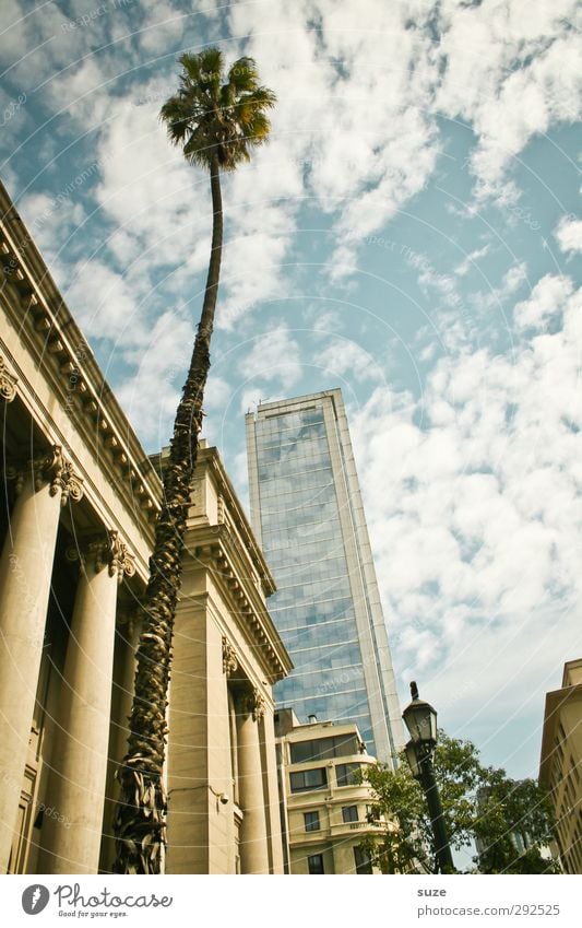 Hola Señorita Ferien & Urlaub & Reisen Sommer Himmel Wolken Schönes Wetter Wärme Stadt Stadtzentrum Gebäude außergewöhnlich hoch natürlich Chile Palme