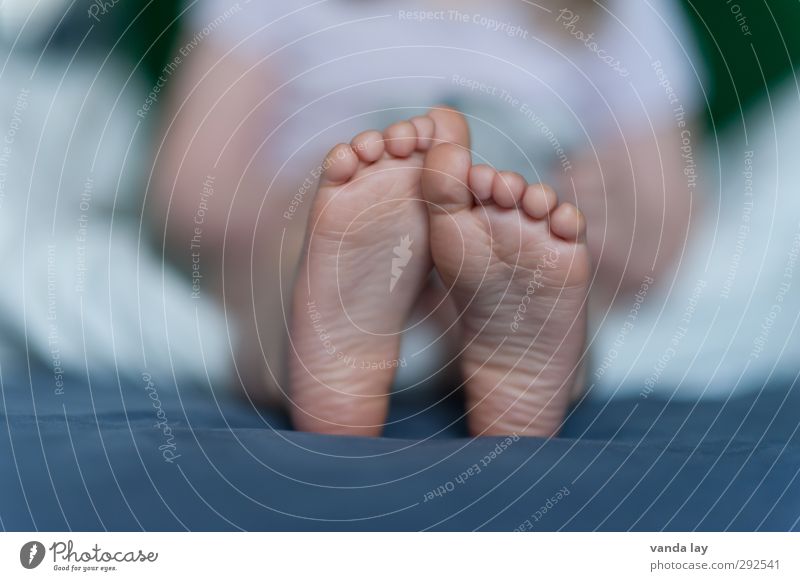 Kinderfüsse Fuß 1 Mensch 1-3 Jahre Kleinkind Kindheit Kinderfuß Fußsohle Zehen Bett Detailaufnahme Haut Farbfoto Innenaufnahme Menschenleer Textfreiraum links