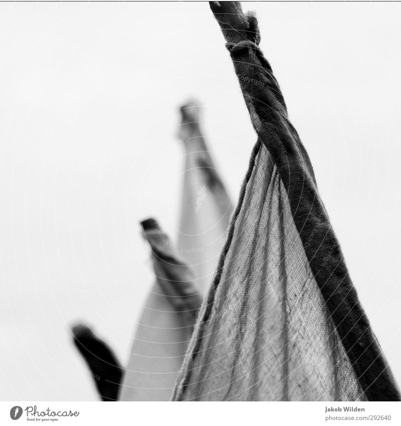 Fahnen im Wind Design Dekoration & Verzierung Holz Zufriedenheit Sehnsucht Heimweh Schwarzweißfoto Außenaufnahme Detailaufnahme abstrakt Muster