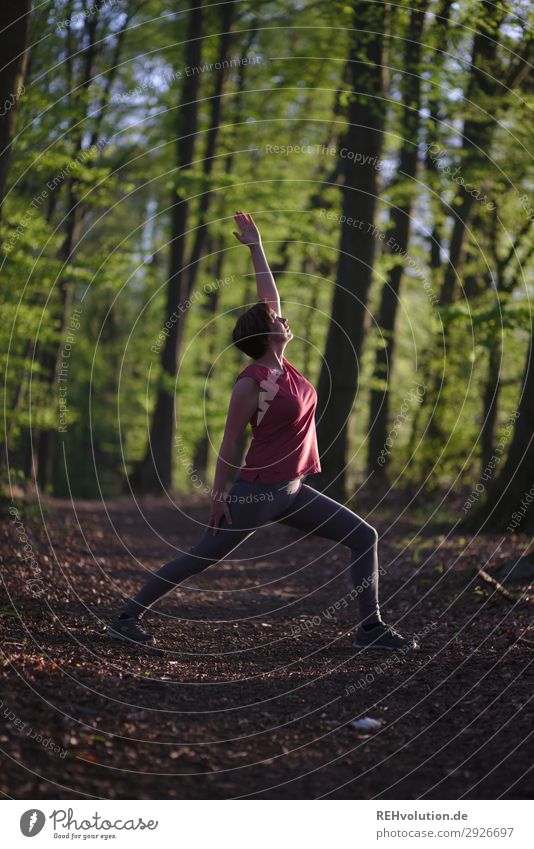 Yoga im Wald Lifestyle Gesundheit sportlich Fitness Wohlgefühl Zufriedenheit Erholung ruhig Meditation Freizeit & Hobby Sport Mensch feminin Junge Frau