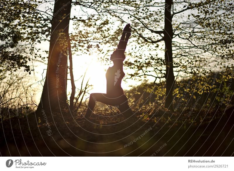 Yoga im Wald Lifestyle Stil Freude Glück Gesundheit sportlich Fitness harmonisch Wohlgefühl Zufriedenheit Erholung ruhig Meditation Freizeit & Hobby Sommer