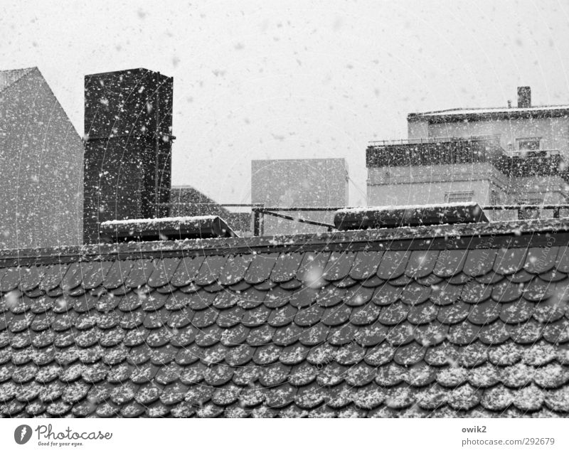 Einmal Zuckerwatte bitte Winter Klima Wetter Schönes Wetter Eis Frost Schneefall Kleinstadt Stadtzentrum Skyline bevölkert Haus Mauer Wand Fassade Terrasse Dach