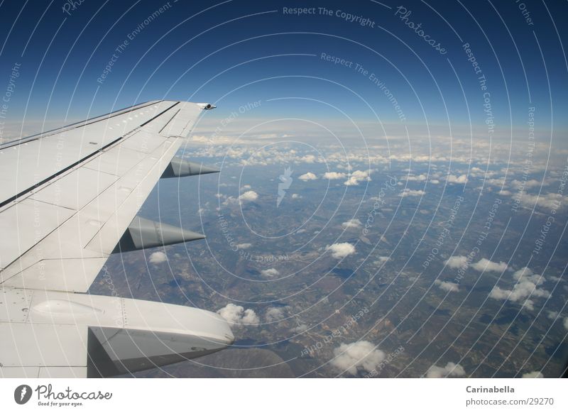 Zwischen Himmel und Erde Flugzeug Wolken Horizont azurblau Tragfläche Ferien & Urlaub & Reisen fliegen Luftverkehr