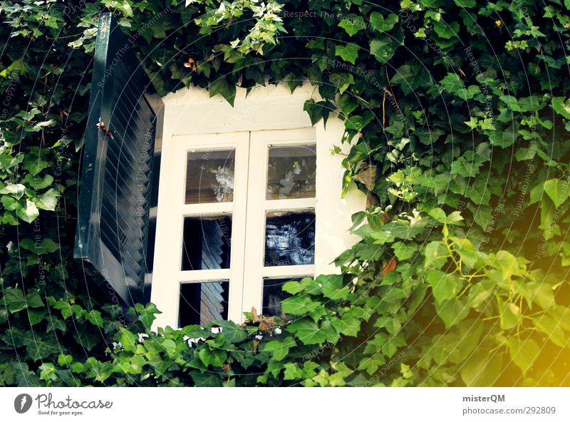 Fensterln? Kunst ästhetisch Sträucher Fensterladen Romantik weiß grün Garten Blatt Efeu Fensterkreuz Fensterblick Fensterblätter vergessen Surrealismus