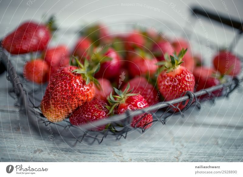 frische Erdbeeren Lebensmittel Frucht Ernährung Bioprodukte Vegetarische Ernährung Diät Fasten Schalen & Schüsseln Drahtkorb Korb Lifestyle Gesunde Ernährung