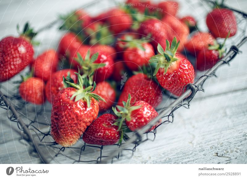Frische Erdbeeren Lebensmittel Frucht Ernährung Bioprodukte Vegetarische Ernährung Diät Schalen & Schüsseln Korb Drahtkorb Lifestyle kaufen Gesundheit