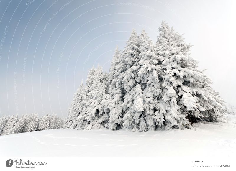 1149 m.ü.M. Tourismus Ausflug Winterurlaub Natur Landschaft Himmel Schönes Wetter Eis Frost Schnee Baum Wald hell kalt schön Stimmung Perspektive Jahreszeiten