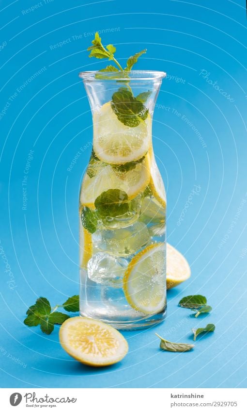 Hausgemachtes Erfrischungsgetränk mit Zitronensaft und Minze Frucht Getränk Limonade Saft Sommer Blatt Coolness natürlich blau gelb grün weiß Zitrusfrüchte Glas