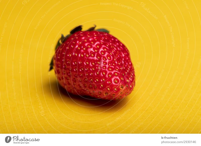 Erdbeere Lebensmittel Frucht Ernährung Bioprodukte Vegetarische Ernährung Gesunde Ernährung wählen beobachten kaufen Essen genießen frisch Gesundheit natürlich