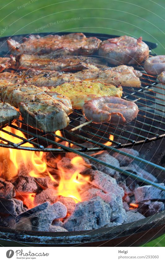 Fleisch und Bratwurst auf einem Grill mit Holzkohle und Flamme Lebensmittel Wurstwaren Ernährung Abendessen Grillen Steak Grillrost Grillkohle Grillsaison Feuer