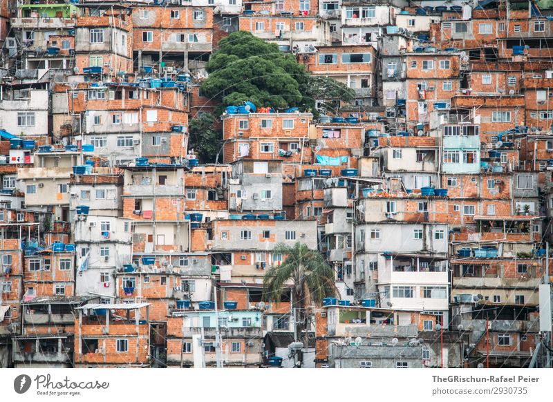 Favela Stadt blau braun orange schwarz weiß favela Rio de Janeiro Brasilien Haus Armut Fenster Rauschmittel Krieg Palme Tür Farbfoto Menschenleer
