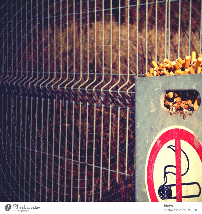 Ausgrenzung Rauchen Zeichen Hinweisschild Warnschild authentisch Ekel Völlerei Drogensucht Ärger Gesundheit Kontrolle Leidenschaft Sucht Verbote überfüllt