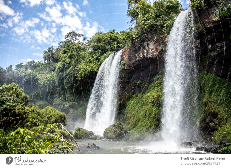 foz iguacu Umwelt Natur Landschaft ästhetisch Wasserfall Brasilien Argentinien Iguazu Fälle Palme grün beeindruckend Felsen Wassermassen Fluss Tourismus